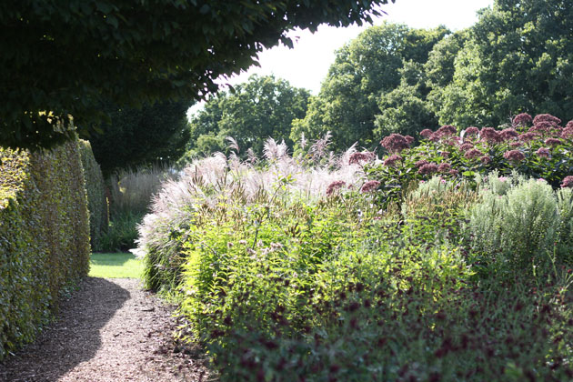 Sussex Prairie garden