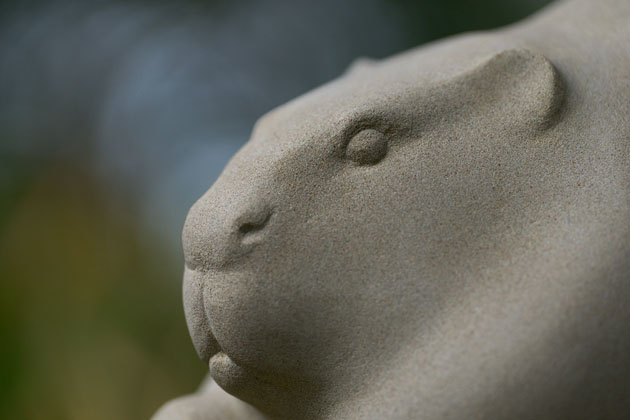 Beaver sculpture detail