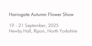 Harrogate Autumn Flower Show - Newby Hall, Ripon