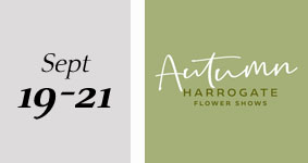 Harrogate Autumn Flower Show - September 2025