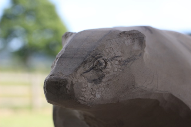 Badger sculpture face detail