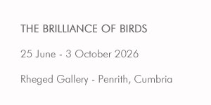 Rheged exhibition dates - The Brilliance of Birds